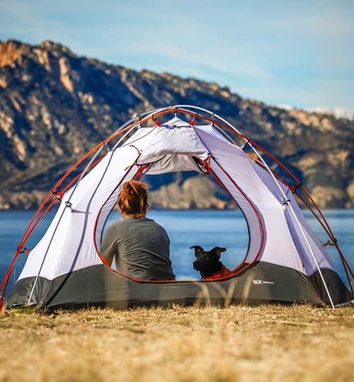 camp 1 nzqd81p0v0pxax0zrz0q5hs1kan1290o6pe5altkig (3)